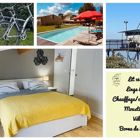 Les Gites Du Domaine De Ludeye Listrac-Médoc Habitación foto