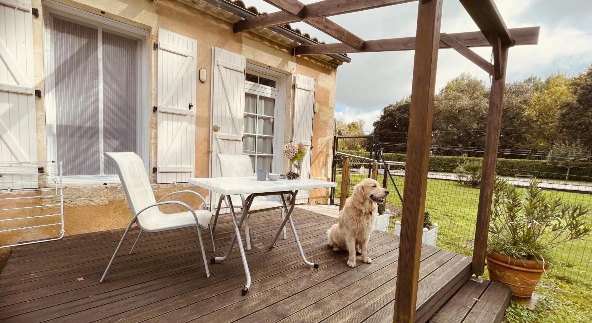 Les Du Domaine De Ludeye Holiday home *