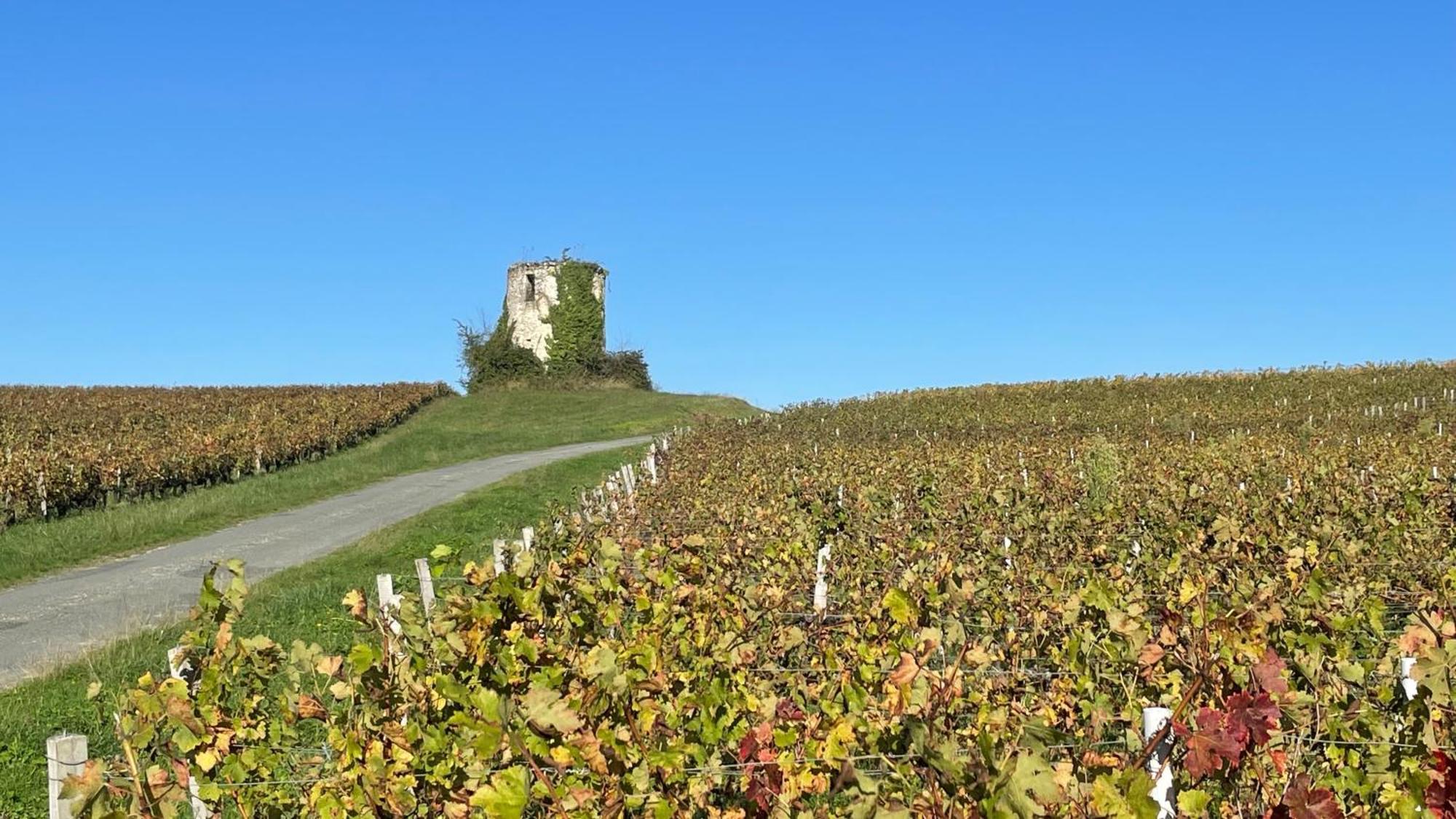 Les Du Domaine De Ludeye Holiday home *