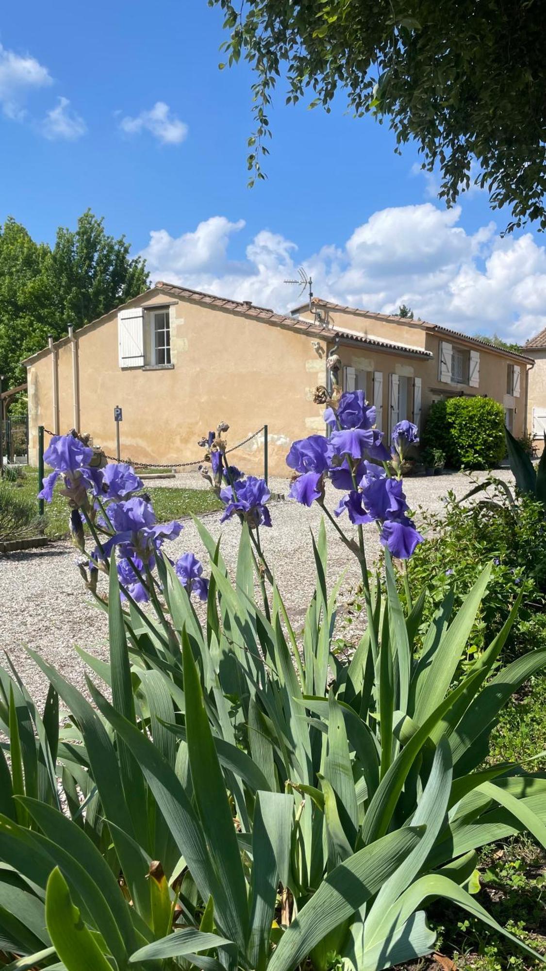Holiday home Gites Ecolabellises Du Domaine De Ludeye - Au Calme Dans Le Medoc